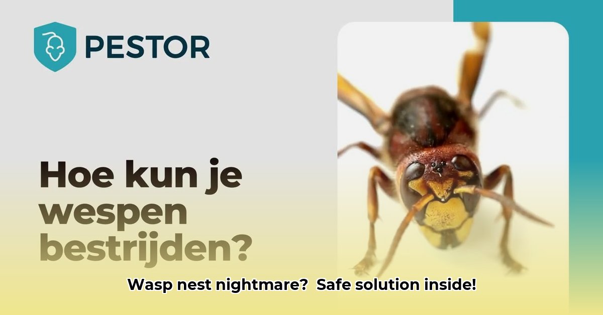 wespen-poeder
